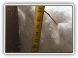 Blizzard 2016