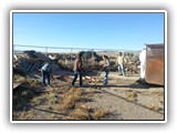 Burn Pit Cleanup Oct 2015